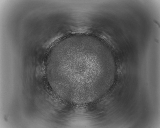 X0000100201350200806201411