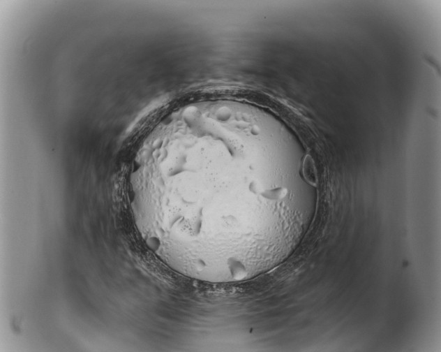 X0000100201351200806201411