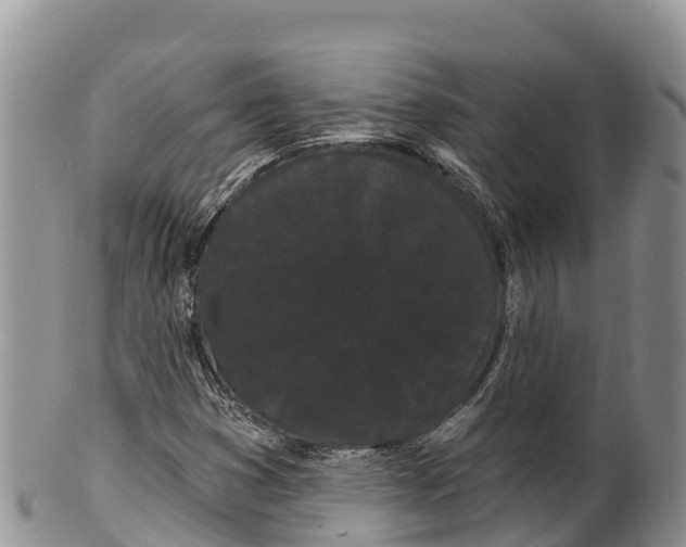 X0000100201353200806201411