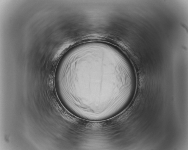 X0000100201355200806201411