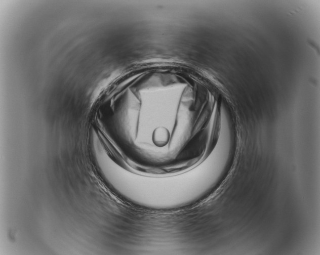 X0000100201357200806201411