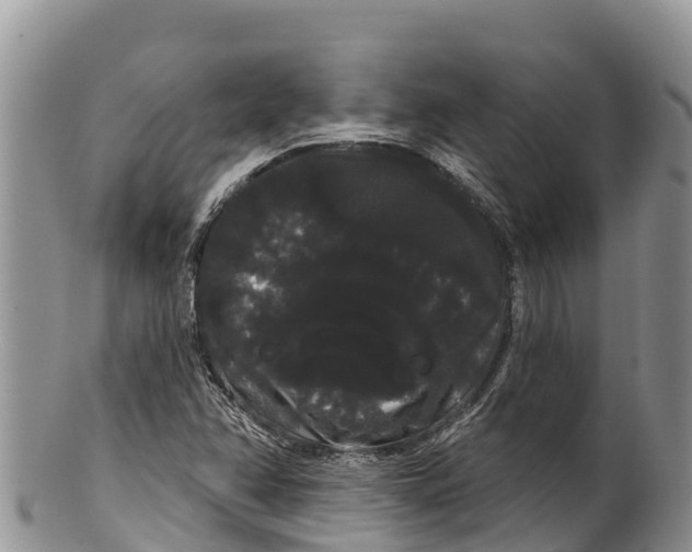 X0000100201358200806201411