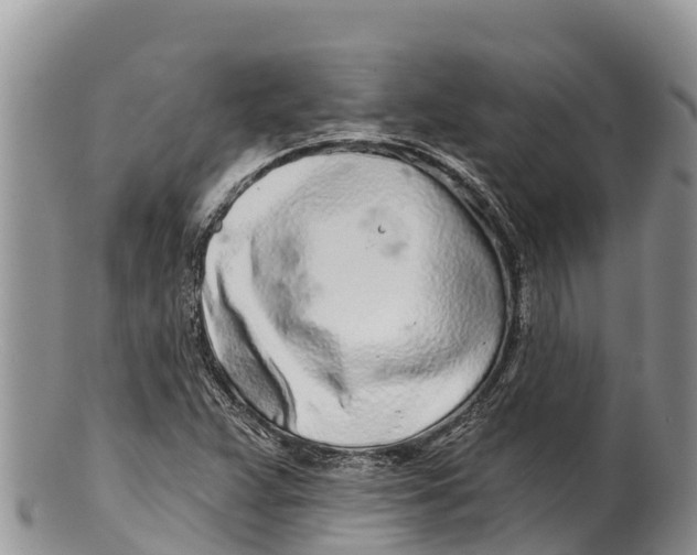 X0000100201359200806201411