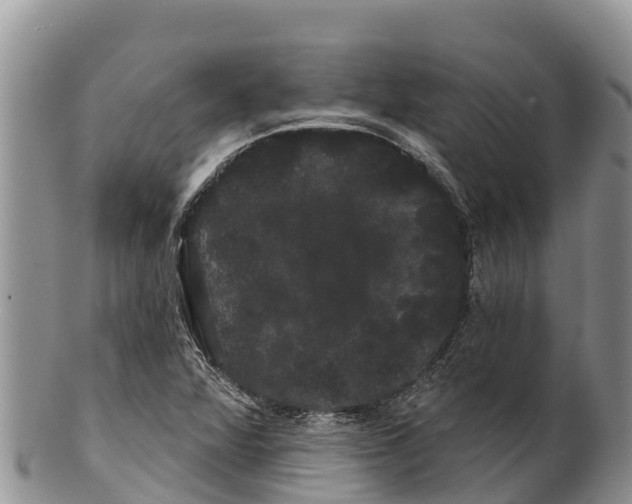 X0000100201360200806201411