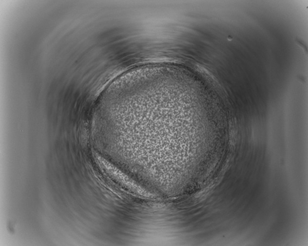 X0000100201361200806201411