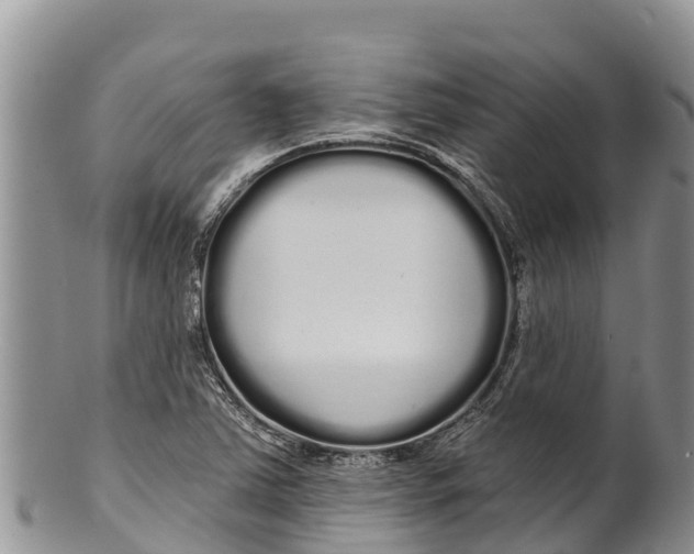 X0000100201363200806201411