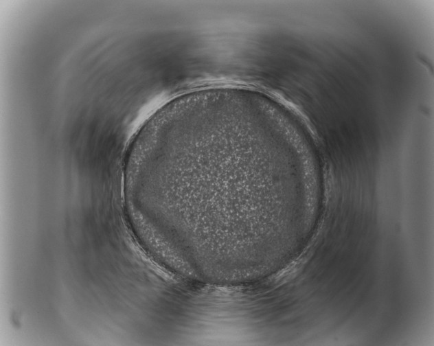 X0000100201365200806201411