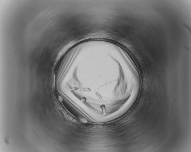 X0000100201366200806201411