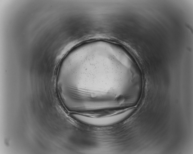 X0000100201367200806201411