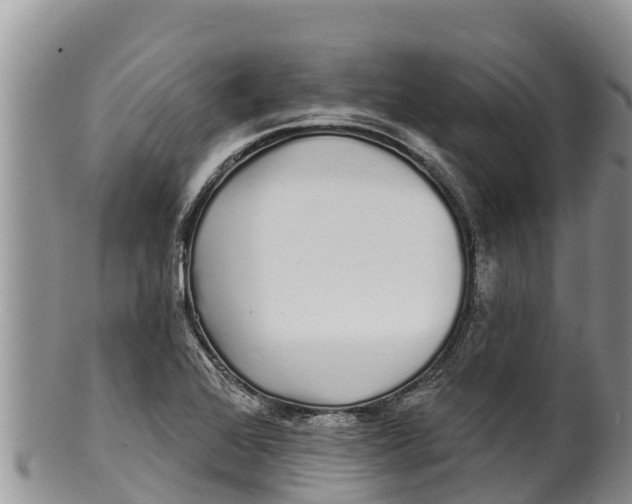 X0000100201368200806201411