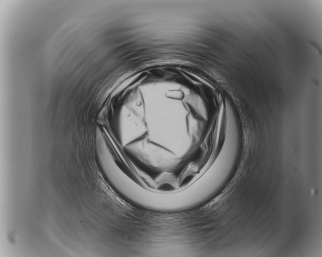 X0000100201369200806201411