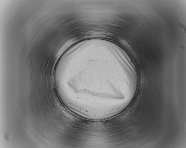 X0000100201370200806201411