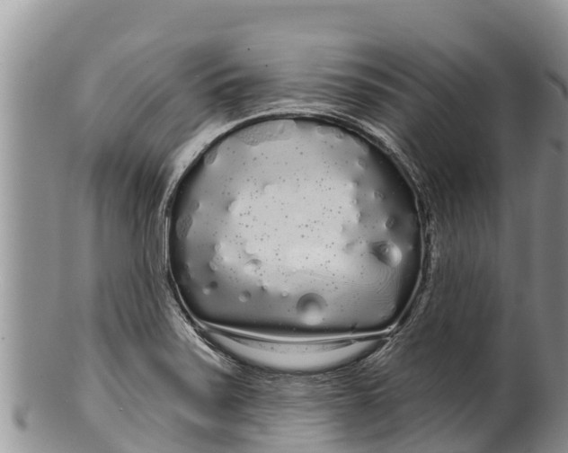 X0000100201371200806201411