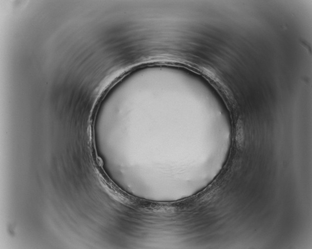 X0000100201372200806201411