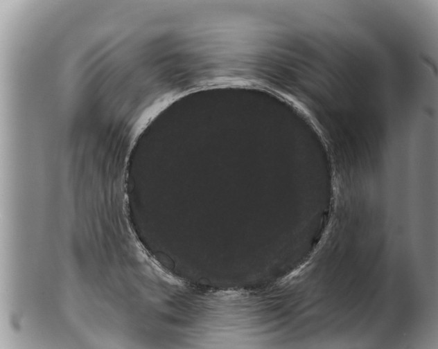 X0000100201373200806201411