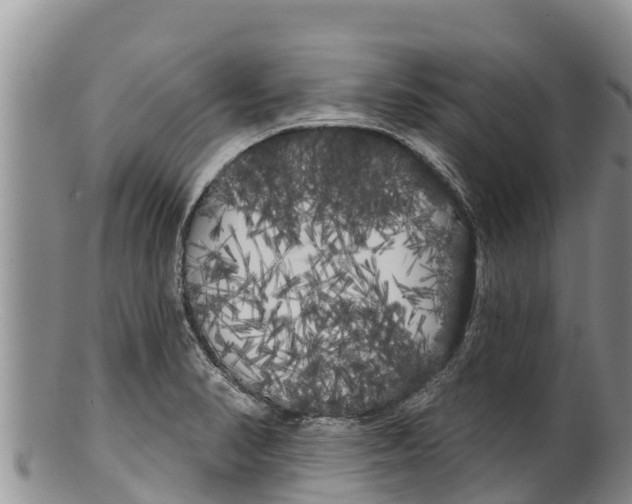 X0000100201374200806201411