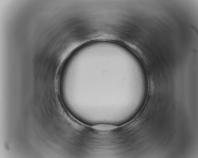 X0000100201375200806201411