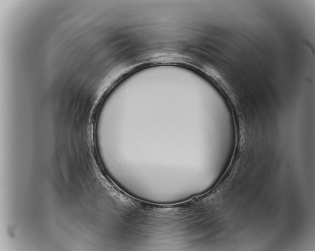 X0000100201376200806201411