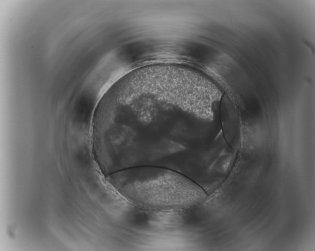 X0000100201378200806201411