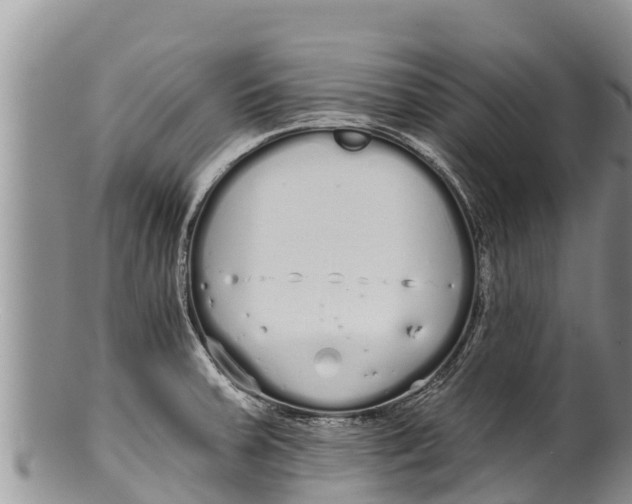 X0000100201379200806201411