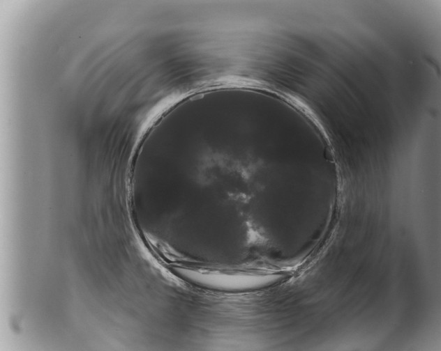 X0000100201381200806201411