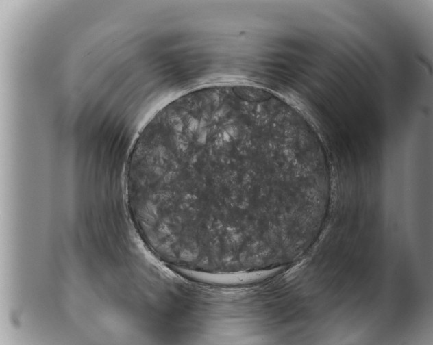 X0000100201382200806201411