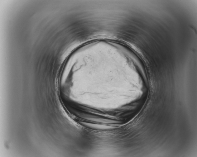 X0000100201383200806201411