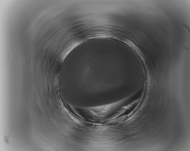 X0000100201385200806201411