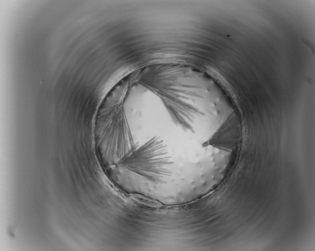 X0000100201386200806201411