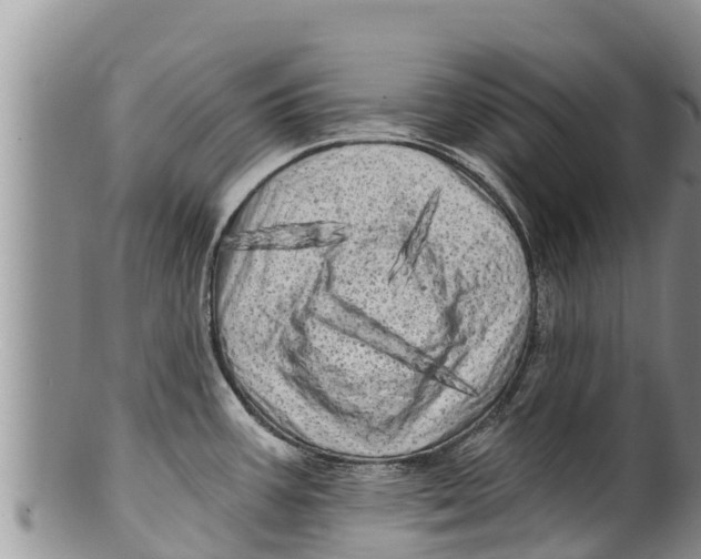 X0000100201387200806201411