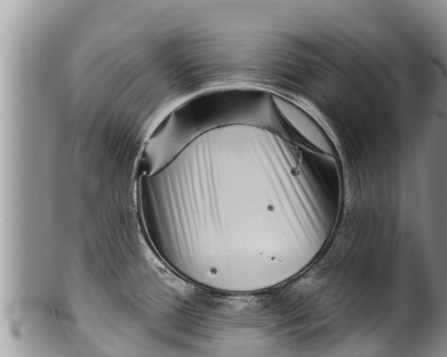 X0000100201388200806201411