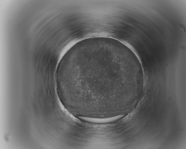 X0000100201389200806201410