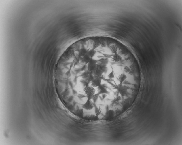 X0000100201390200806201410