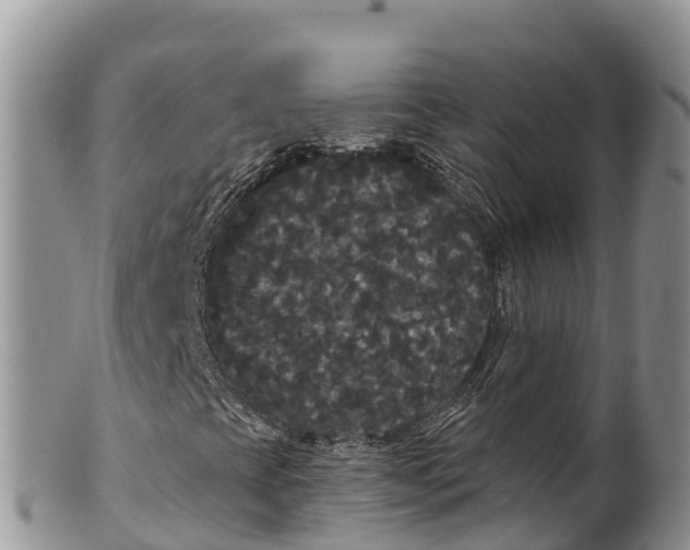 X0000100201393200806201410