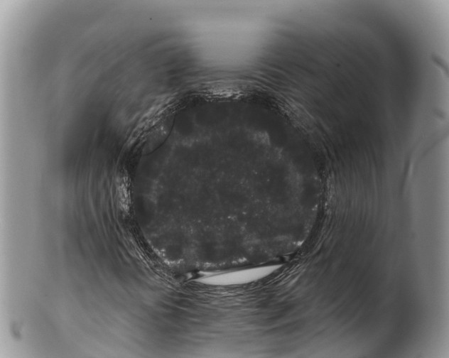 X0000100201394200806201410