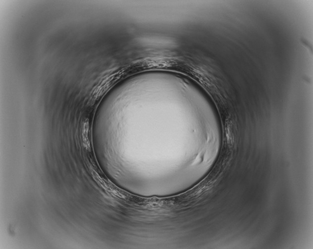 X0000100201396200806201410