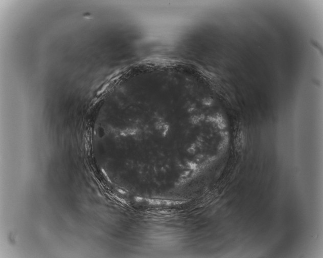 X0000100201397200806201410