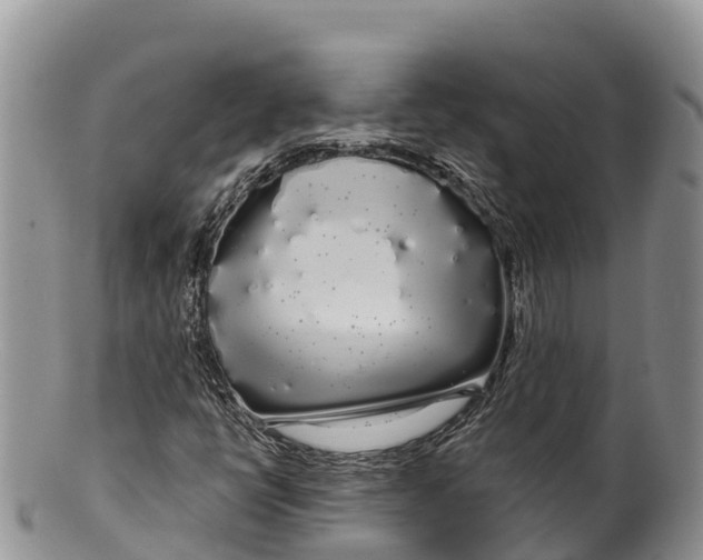 X0000100201398200806201410