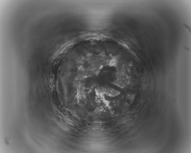 X0000100201399200806201410