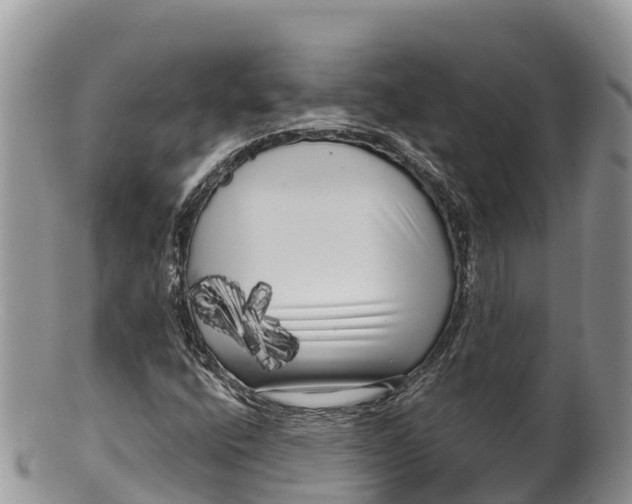 X0000100201400200806201410