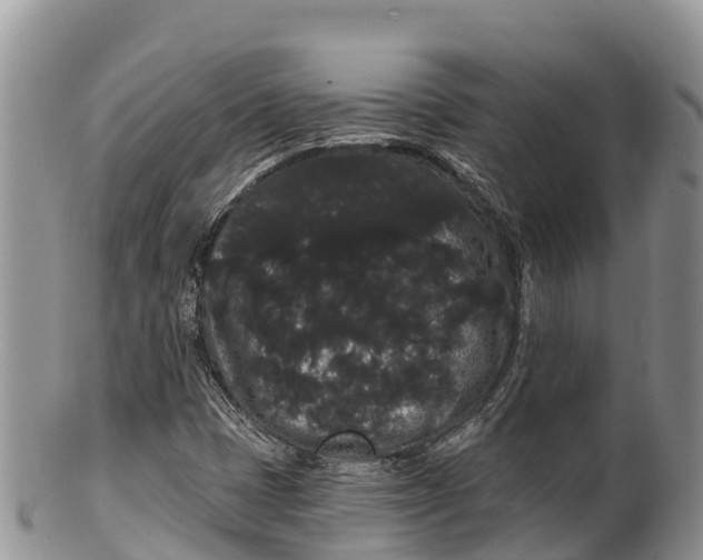 X0000100201401200806201410