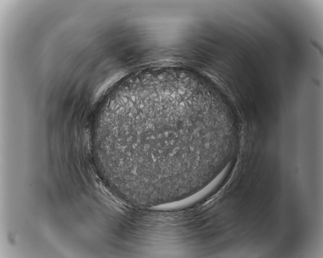 X0000100201402200806201410