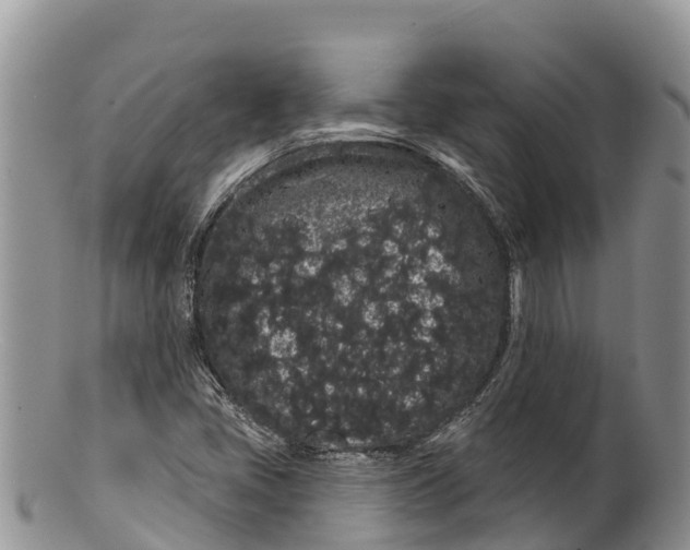 X0000100201405200806201410