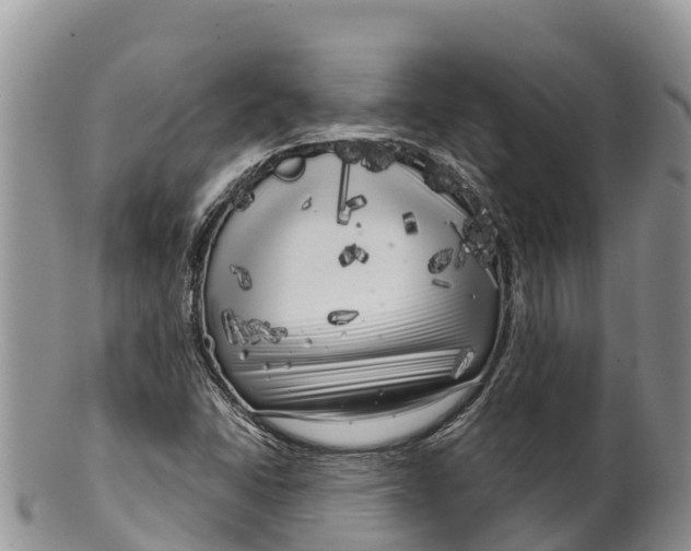 X0000100201406200806201410