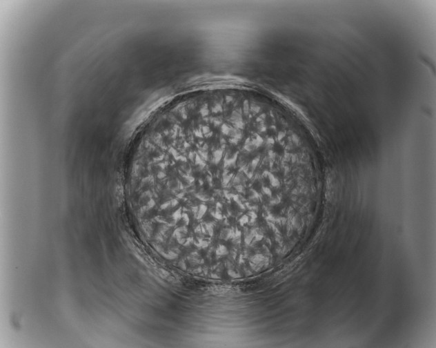 X0000100201407200806201410