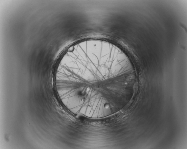 X0000100201408200806201410