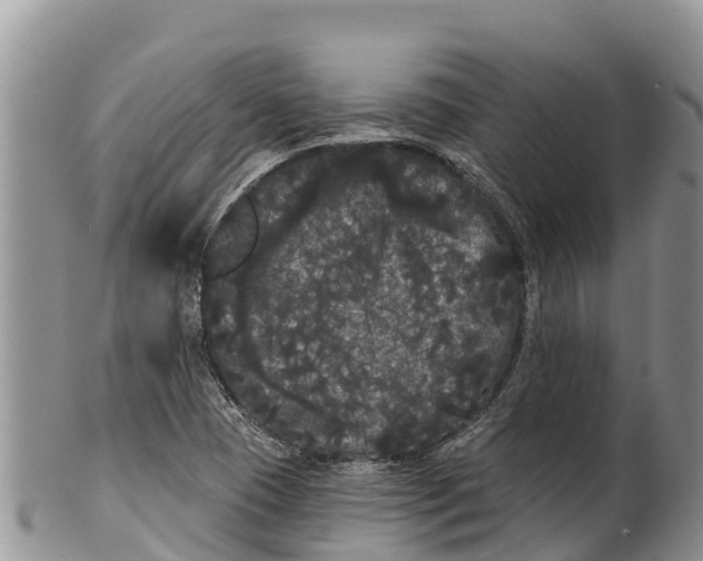 X0000100201409200806201410