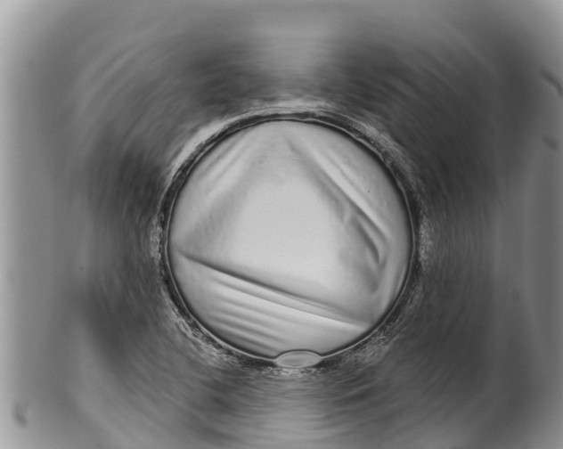 X0000100201412200806201410