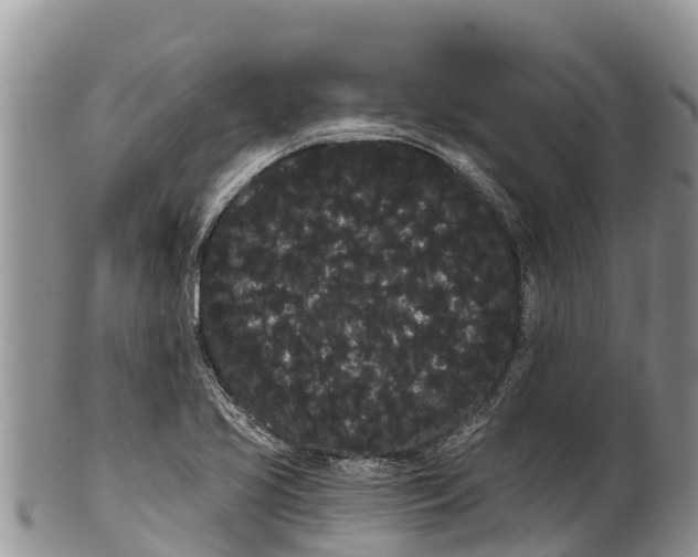 X0000100201413200806201410