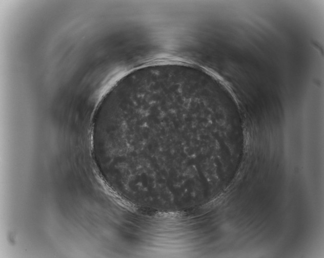 X0000100201415200806201410